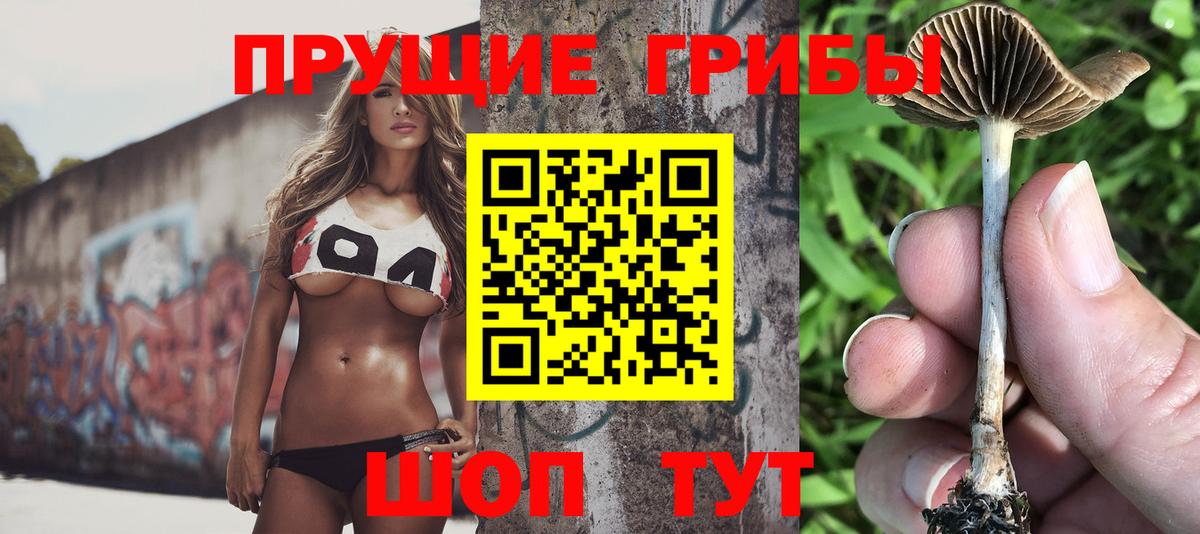 Псилоцибиновые грибы Magic Shrooms  Вход с VPN  Уварово 